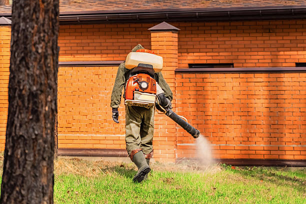 Bed Bug Clearance Verification and Documentation in Mount Pleasant